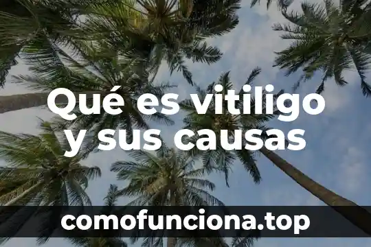 Qué es un terremoto sus causas y sus precauciones 7 Qué es vitiligo y sus causas