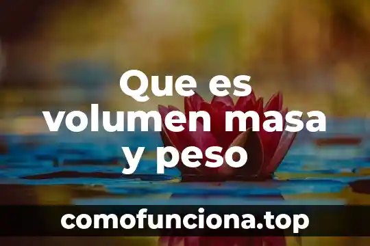 Significa que es tecnología 8 Que es volumen masa y peso