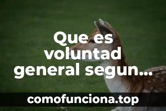 Que es cuentra patrimonio en un balance general 5 Que es voluntad general segun rousseau
