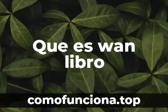 Wan blocking que es 3 Que es wan libro