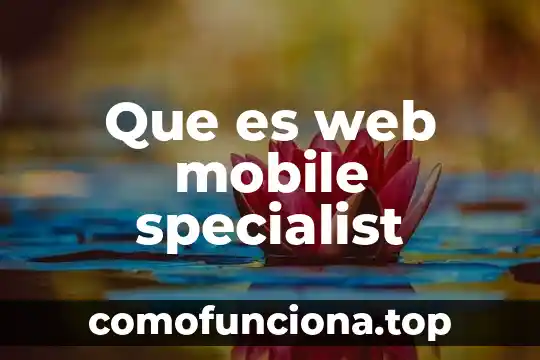 Que es filosofía organizacional mundial 6 Que es web mobile specialist