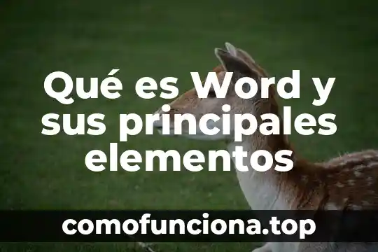 Qué es la piedra del sol y sus características principales 7 Qué es Word y sus principales elementos