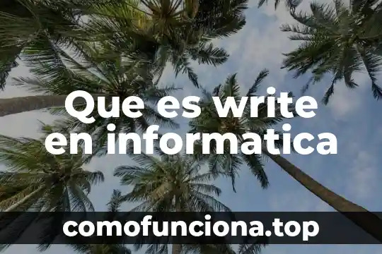 Que es la logica deóntica 4 Que es write en informatica
