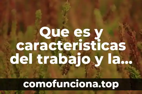 Qué es el poder y la participación política 6 Que es y caracteristicas del trabajo y la participacion social