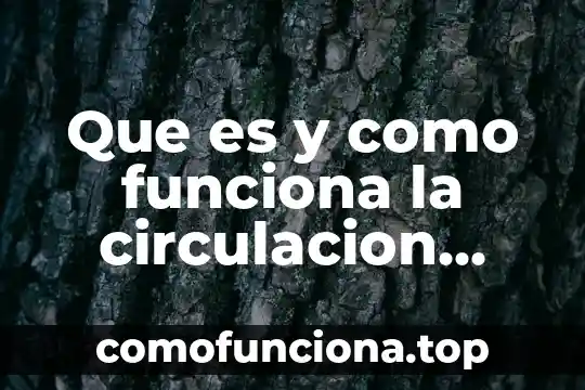 Qué es un corte de circulación tesis 5 Que es y como funciona la circulacion mayor y menor