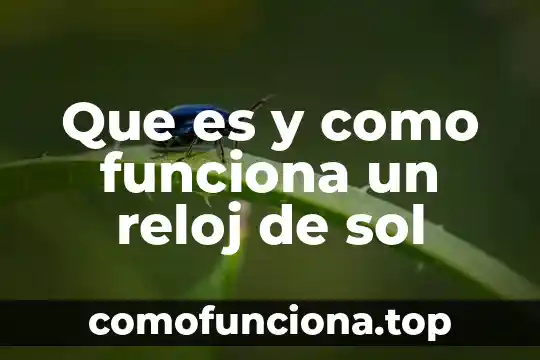 Que es la economia naranja y como funciona 8 Que es y como funciona un reloj de sol