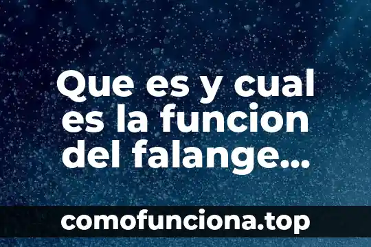 Que es el atomo y cual es su estructura 6 Que es y cual es la funcion del falange proximal