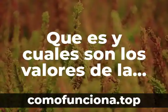 Qué es Excel y cuáles son sus componentes 4 Que es y cuales son los valores de la gasometria