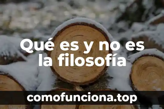 Qué es un método filosofía clásico 3 Qué es y no es la filosofía