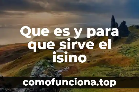 Qué es la dobutamina y para qué sirve 5 Que es y para que sirve el isino