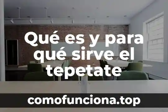 Product key que es 3 Qué es y para qué sirve el tepetate