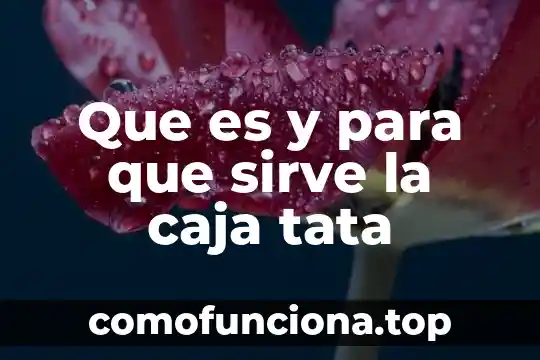 Que es la caja negra en teoria de sistemas 5 Que es y para que sirve la caja tata