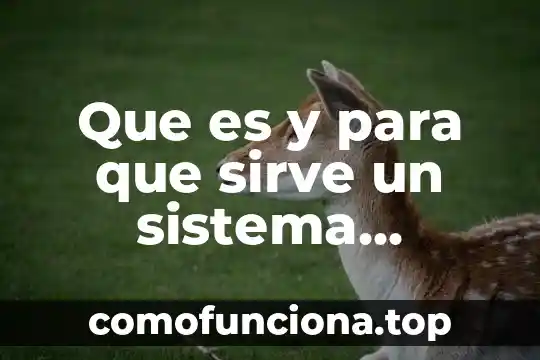 Que es sistema iu de google chrome 8 Que es y para que sirve un sistema autonomo