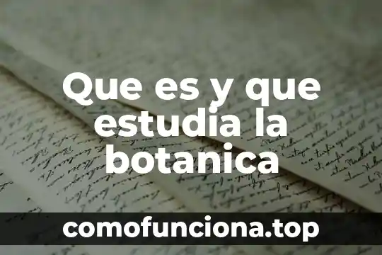 Qué es y qué estudia la estadística 3 Que es y que estudia la botanica