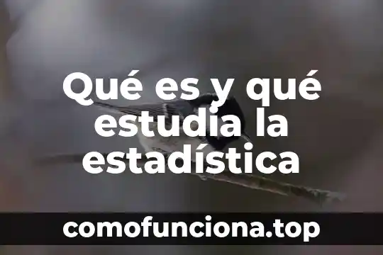 Que es estudia la cibernética 3 Qué es y qué estudia la estadística