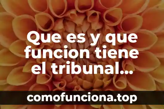 Que es tribunal federal de justicia administrativa jurisprudencia 5 Que es y que funcion tiene el tribunal agrario