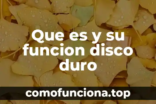 Walmart marketplace que es 4 Que es y su funcion disco duro