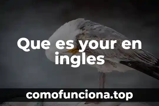 Qué es la fonética en inglés 3 Que es your en ingles