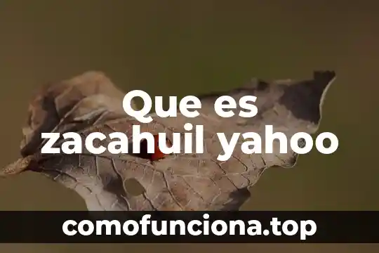 Que es un expediente miscelaneo yahoo 3 Que es zacahuil yahoo