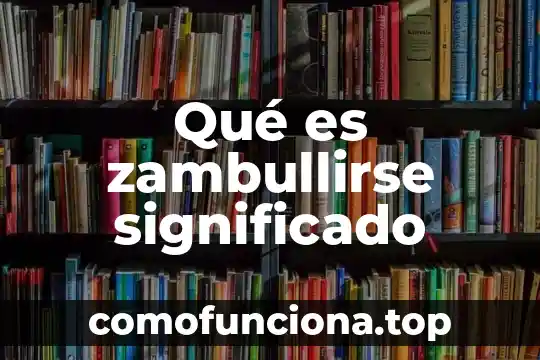 Que es oceano significado del diccionario 6 Qué es zambullirse significado