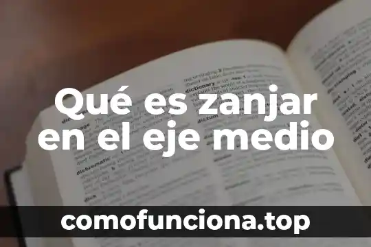 Que es eje o ambito de valores 4 Qué es zanjar en el eje medio