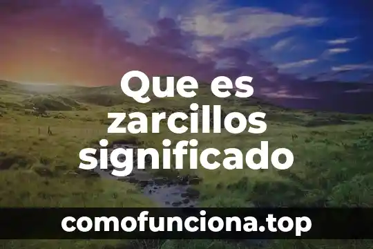 Qué es compaginar significado 6 Que es zarcillos significado