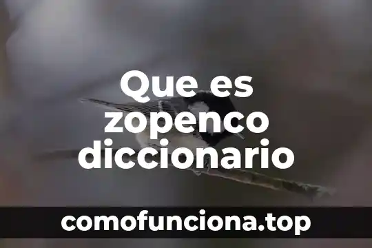 Diccionario médico que es insulina 8 Que es zopenco diccionario