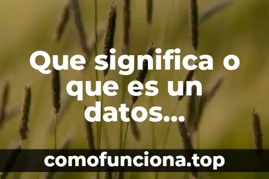 Qué es un canal de datos en informática 7 Que significa o que es un datos personales en informatica