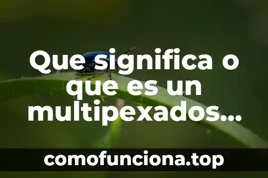 Que es homologo en informatica 8 Que significa o que es un multipexados en informatica
