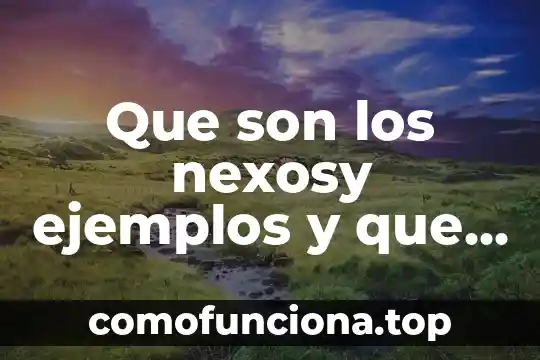 Que es sentido de pertenencia y cohesion social 8 Que son los nexosy ejemplos y que es cohesion