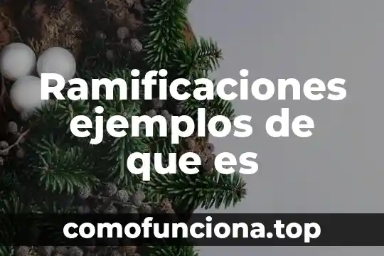 Que es el plexo lumbosacro de un animal 5 Ramificaciones ejemplos de que es