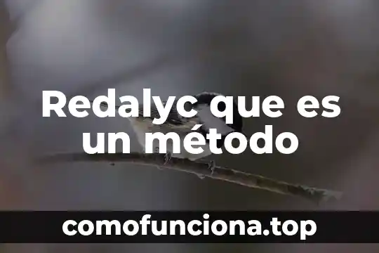 Qué es un método del conocimiento 4 Redalyc que es un método