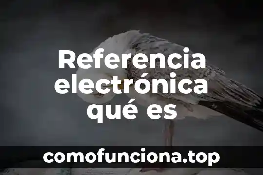Que es trayectora y marco de referencia del movimiento 8 Referencia electrónica qué es