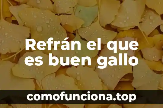 Que es una idea secundaria en un texto 8 Refrán el que es buen gallo