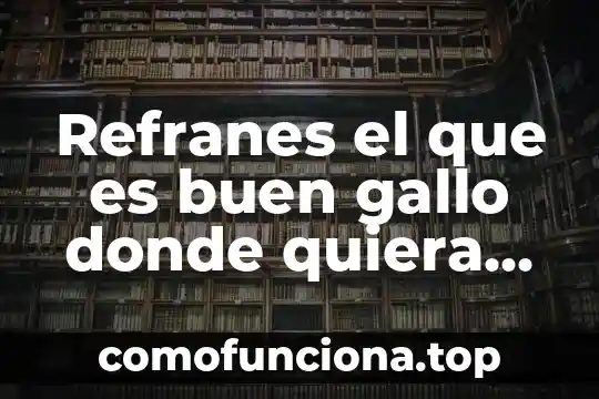 Qué es osare significado 8 Refranes el que es buen gallo donde quiera canta significado