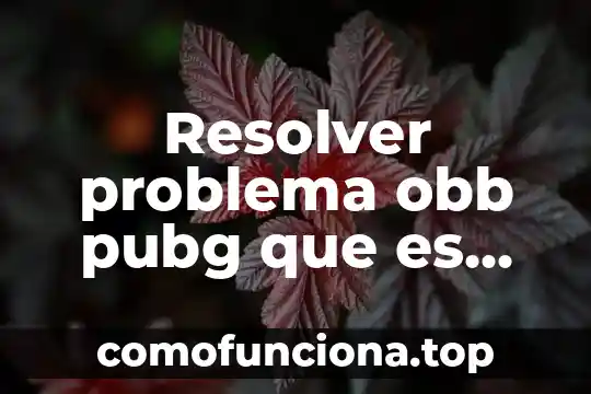 Que es un numero balistico 5 Resolver problema obb pubg que es significa