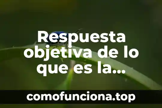Solange Alberro que es la historia 3 Respuesta objetiva de lo que es la historia
