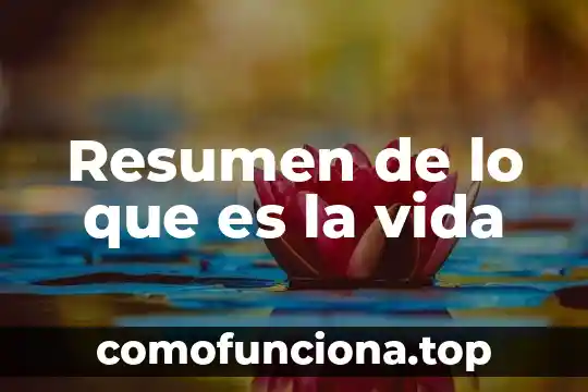 Que es la conciencia resumen 4 Resumen de lo que es la vida