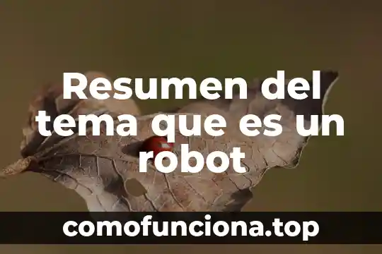Que es el estandarte nacional 6 Resumen del tema que es un robot