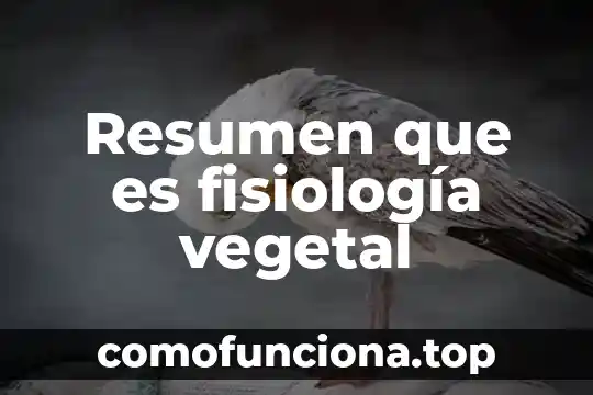 Que es pensamiento creativo y sus caracteristicas 6 Resumen que es fisiología vegetal