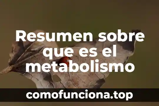 Qué es un resumen ejepols 4 Resumen sobre que es el metabolismo