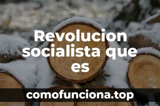 Qué es unidad número 3 Revolucion socialista que es