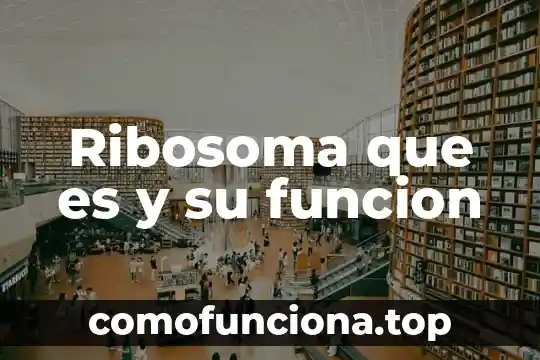 Que es la ionosfera y cual es su funcion 5 Ribosoma que es y su funcion