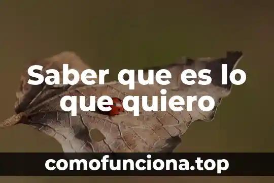 Quiero investigar que es una metáfora 6 Saber que es lo que quiero