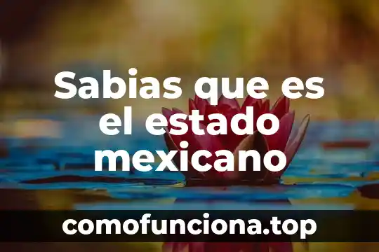 Gifs de lo que es ser mexicano 8 Sabias que es el estado mexicano