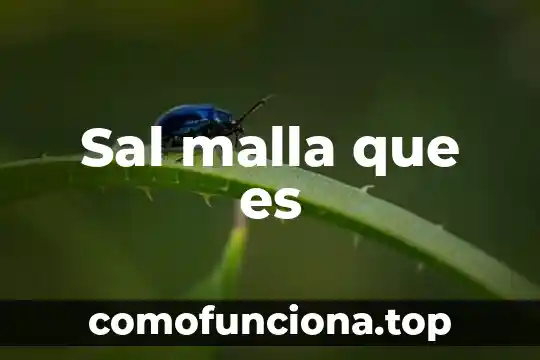 Que es el principio de legalidad en derecho 6 Sal malla que es