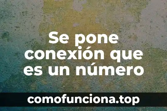 Para que es importante calculos en procesos económicos ecologicos 3 Se pone conexión que es un número