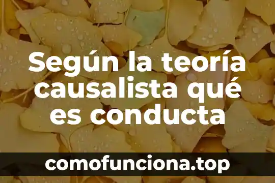 Que es ser aritmetico 5 Según la teoría causalista qué es conducta