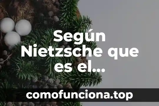 Que es un sociedad carismatica segun weber 7 Según Nietzsche que es el cristianismo