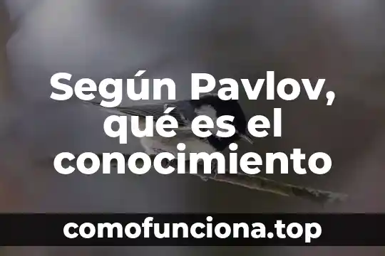 Que es el nivel de conocimiento y sus clasificaciones 6 Según Pavlov, qué es el conocimiento